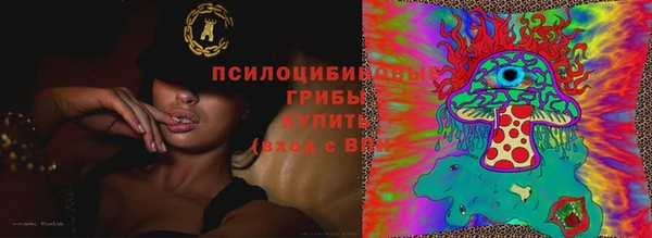 PSILOCYBIN Киреевск